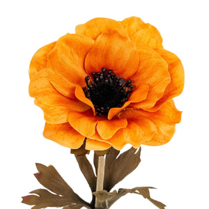 Orange Anemone Stem - Canwell Interiors Limited - Hills