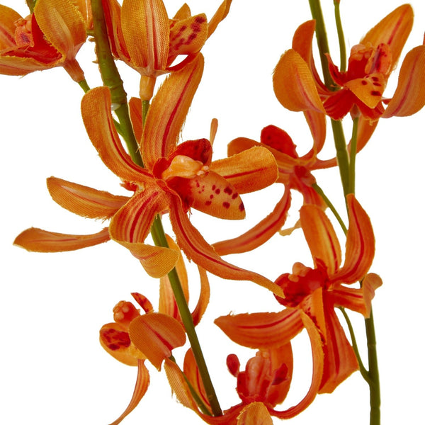 Orange Cymbidium Spray - Canwell Interiors Limited - Hills