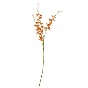 Orange Cymbidium Spray - Canwell Interiors Limited - Hills