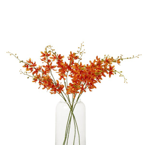 Orange Cymbidium Spray - Canwell Interiors Limited - Hills
