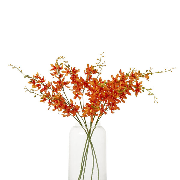 Orange Cymbidium Spray - Canwell Interiors Limited - Hills