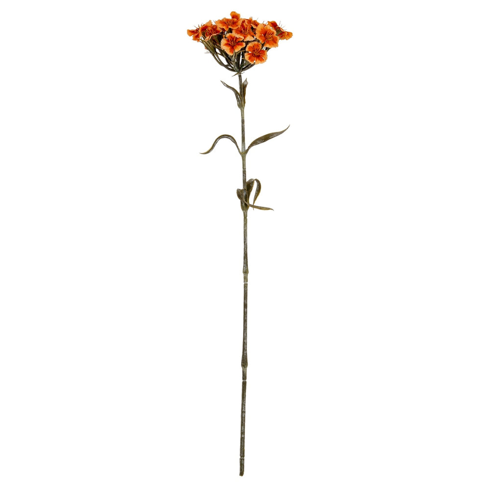 Orange Dianthus Spray - Canwell Interiors Limited - Hills