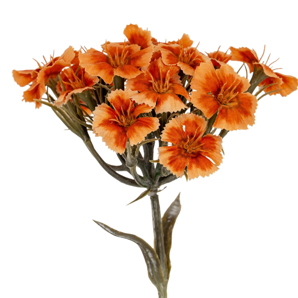 Orange Dianthus Spray - Canwell Interiors Limited - Hills