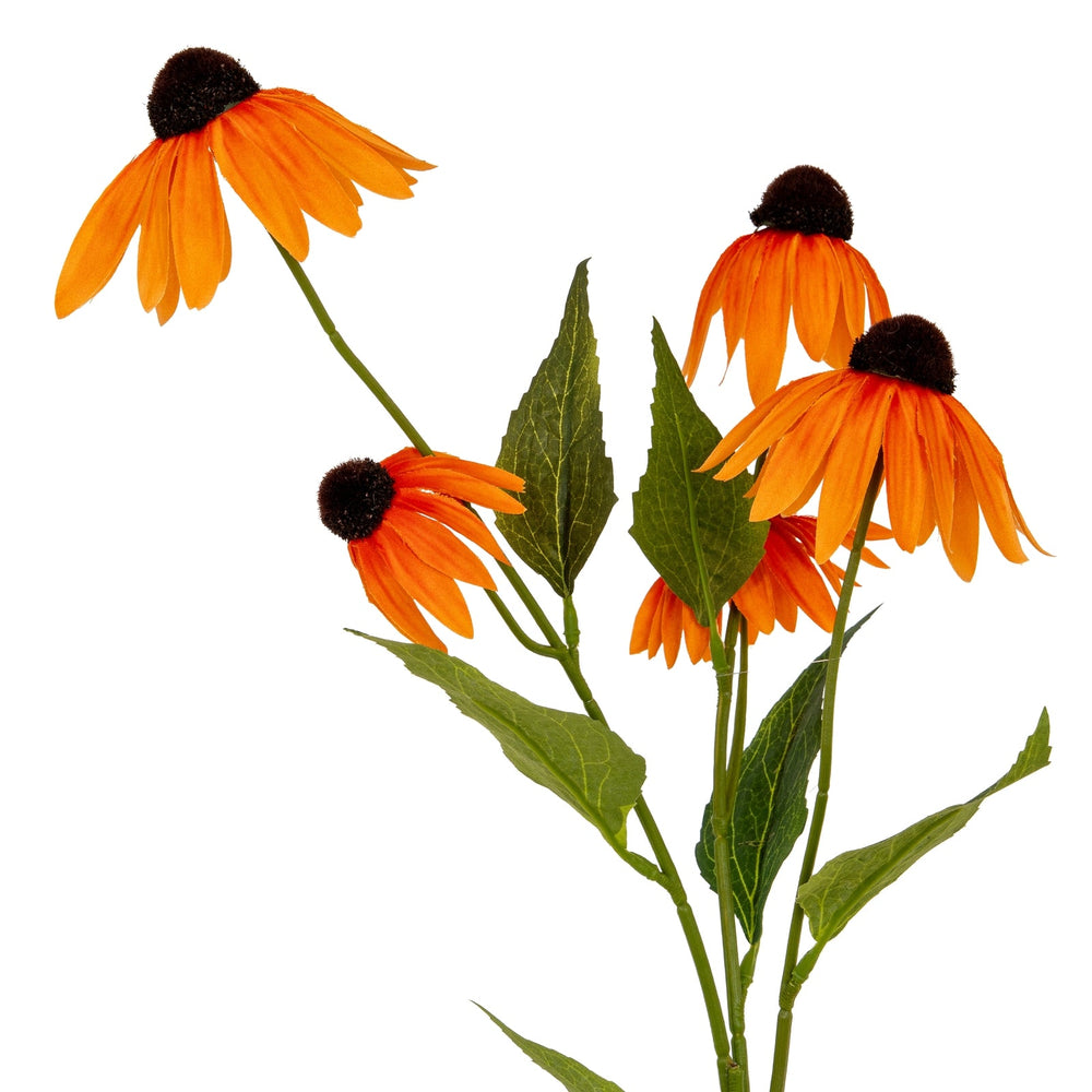 Orange Echinacea Spray - Canwell Interiors Limited - Hills