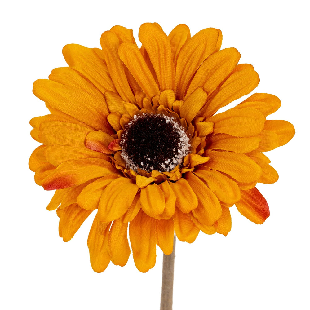 Orange Gerbera Stem - Canwell Interiors Limited - Hills