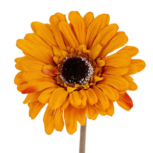 Orange Gerbera Stem - Canwell Interiors Limited - Hills
