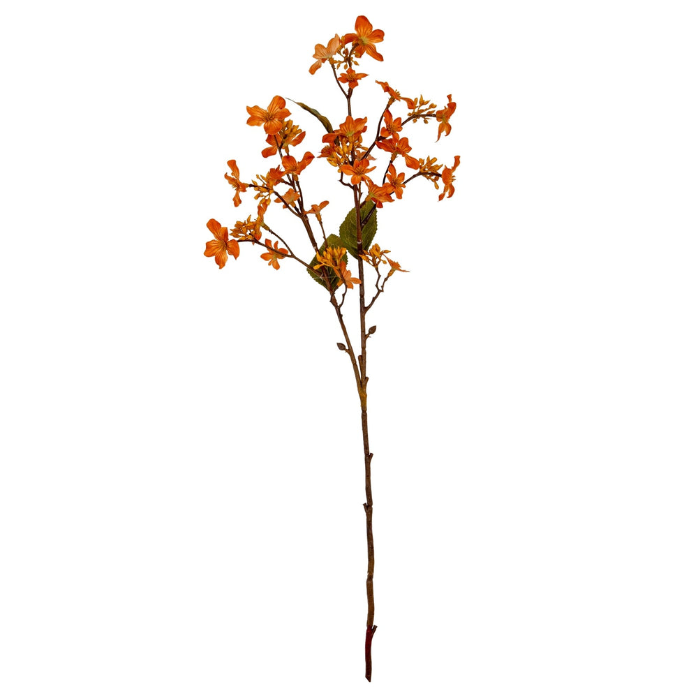 Orange Vernicia Fordii Spray - Canwell Interiors Limited - Hills