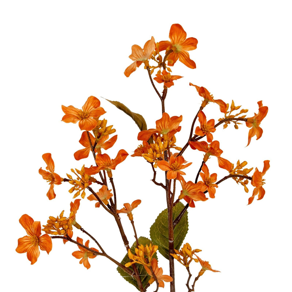 Orange Vernicia Fordii Spray - Canwell Interiors Limited - Hills