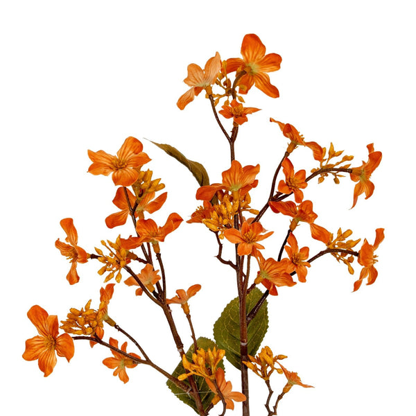 Orange Vernicia Fordii Spray - Canwell Interiors Limited - Hills