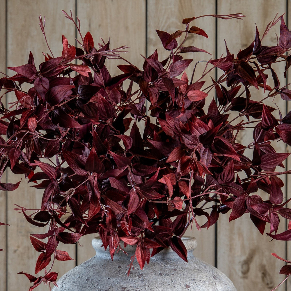 Ornamental Burgundy Leaf - Canwell Interiors Limited - Hills