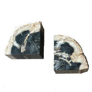 Petrified Wood Pair of Bookends - Bluebone