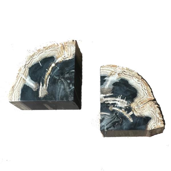 Petrified Wood Pair of Bookends - Bluebone