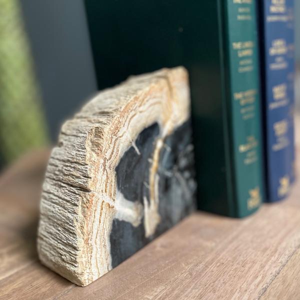 Petrified Wood Pair of Bookends - Bluebone