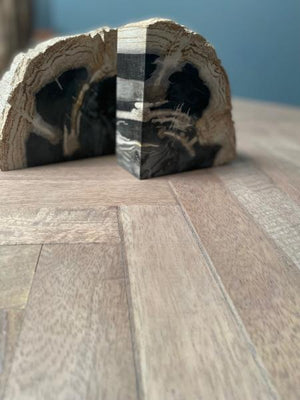 Petrified Wood Pair of Bookends - Bluebone