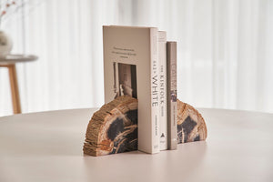 Petrified Wood Pair of Bookends - Bluebone