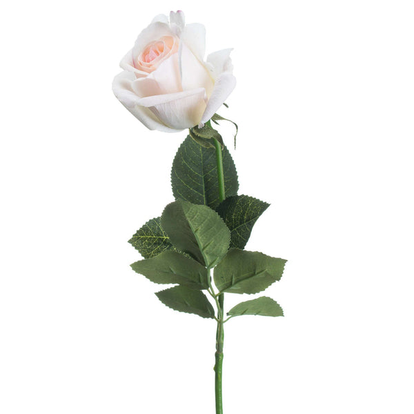 Palest Pink Tea Rose - Canwell Interiors Limited - Hills