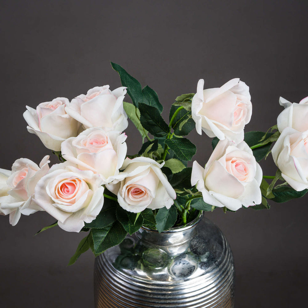 Palest Pink Tea Rose - Canwell Interiors Limited - Hills