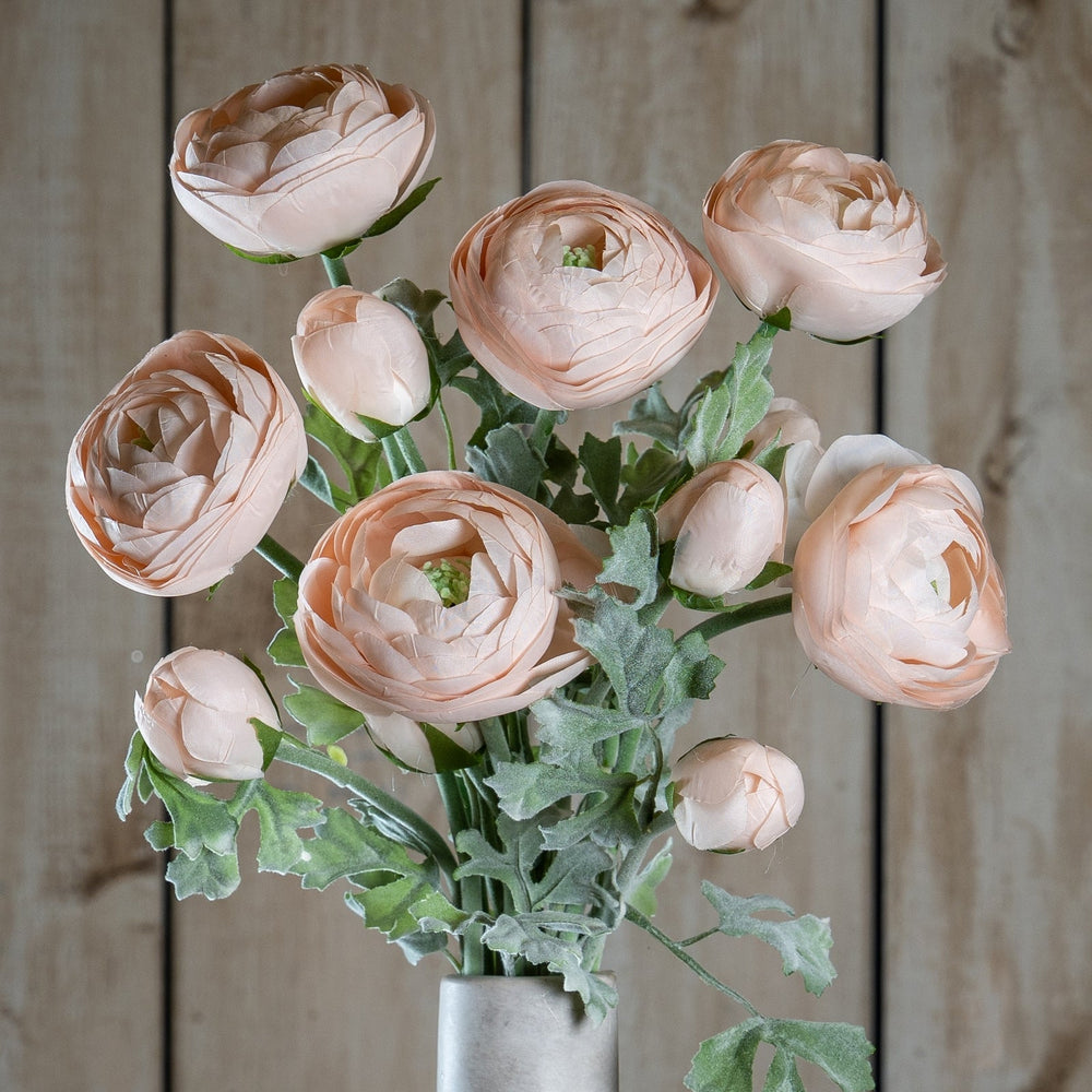 Pastel Pink Ranunculus - Canwell Interiors Limited - Hills