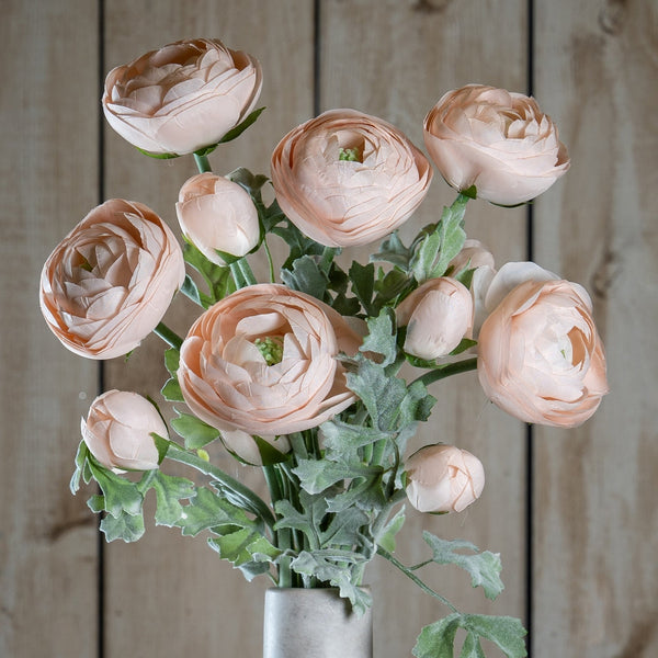 Pastel Pink Ranunculus - Canwell Interiors Limited - Hills
