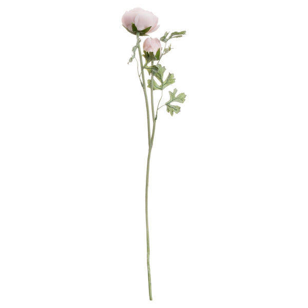 Pastel Pink Ranunculus - Canwell Interiors Limited - Hills