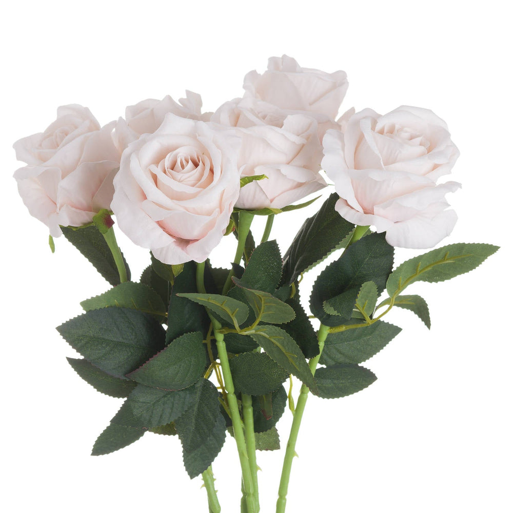 Pastel Pink Tea Rose - Canwell Interiors Limited - Hills