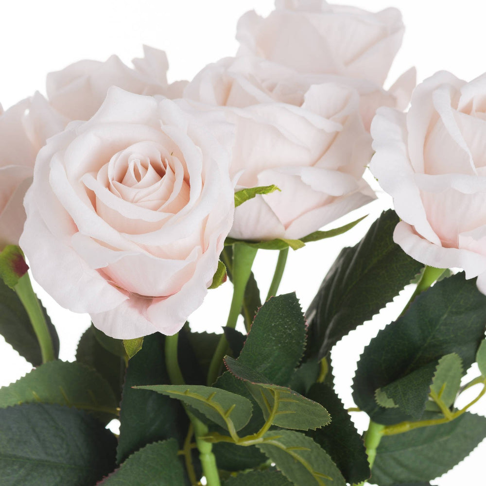 Pastel Pink Tea Rose - Canwell Interiors Limited - Hills