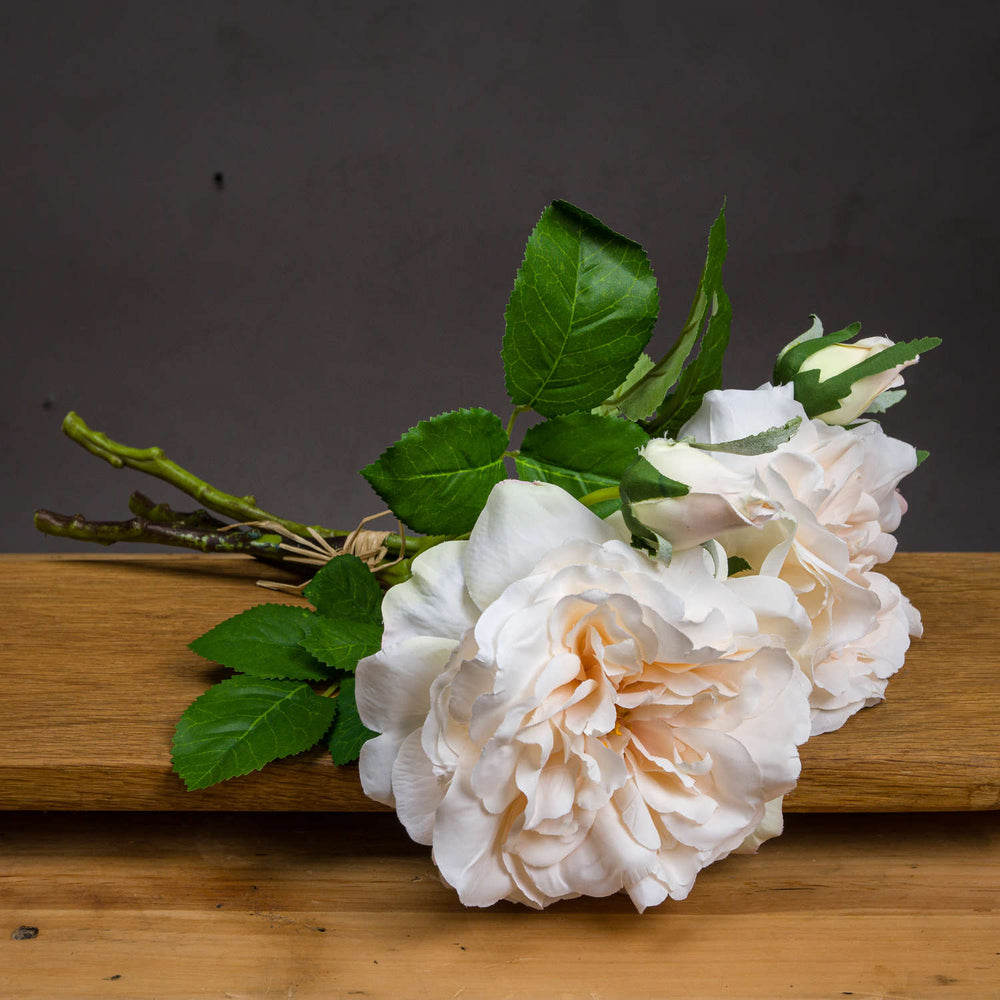 Peachy Cream Short Stem Rose Bouquet - Canwell Interiors Limited - Hills