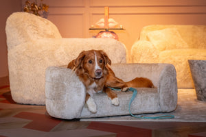 Pet Bed Bingo Clay Chenille - XShowhome Limited - Richmond