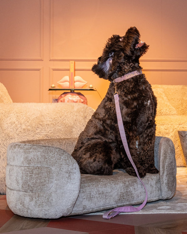 Pet Bed Bingo Clay Chenille - XShowhome Limited - Richmond