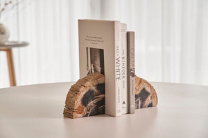 Petrified Wood Pair of Bookends - XShowhome Limited - XShowhome