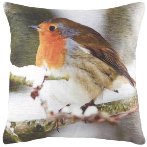 Photo Robin 43x43 Feather Filled Cushion Multi - Canwell Interiors Limited - Riva