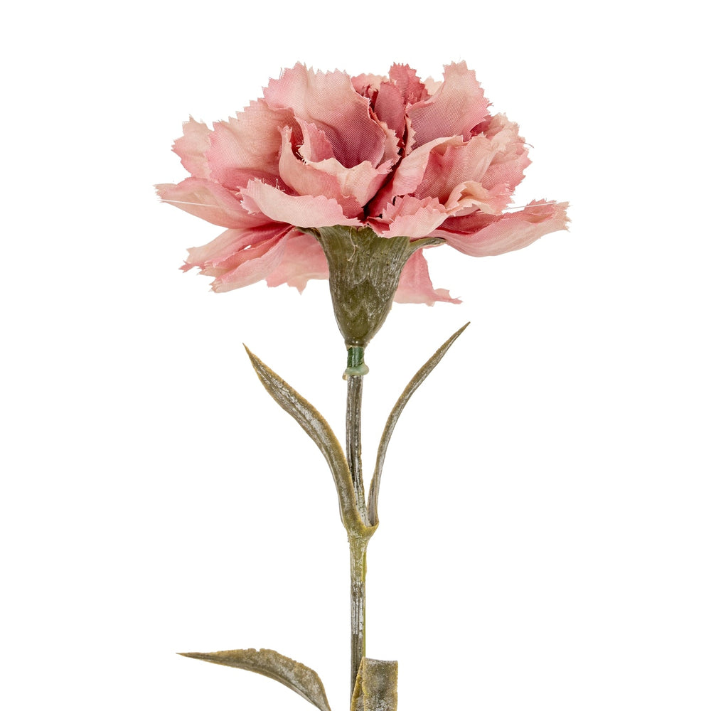 Pink Carnation Stem - Canwell Interiors Limited - Hills