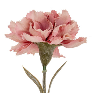 Pink Carnation Stem - Canwell Interiors Limited - Hills