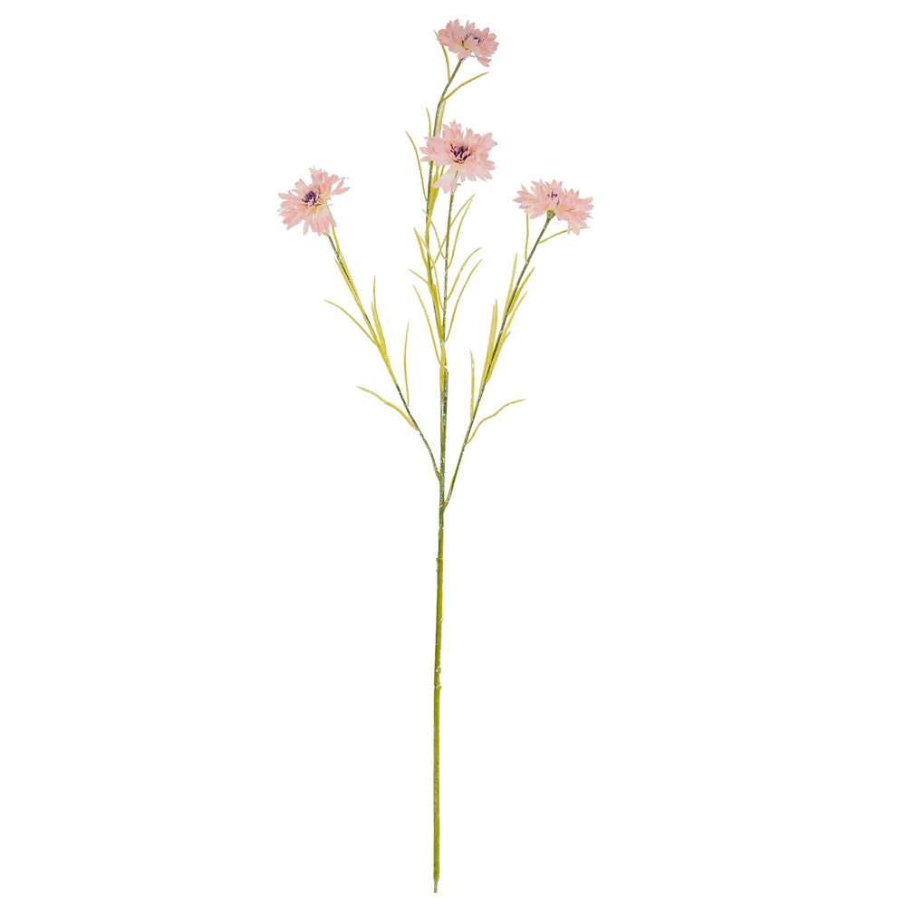 Pink Cornflower Stem - Canwell Interiors Limited - Hills
