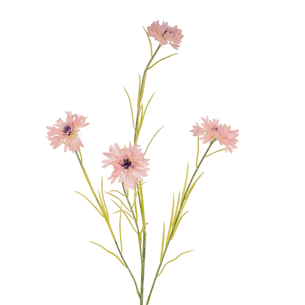 Pink Cornflower Stem - Canwell Interiors Limited - Hills
