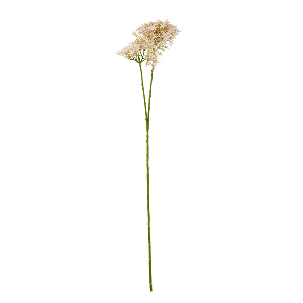 Pink Crown Hydrangea Stem - Canwell Interiors Limited - Hills