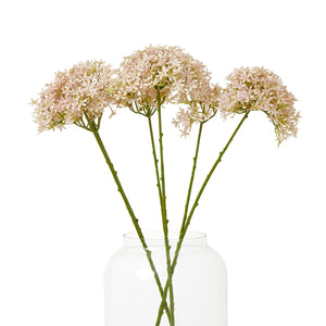 Pink Crown Hydrangea Stem - Canwell Interiors Limited - Hills