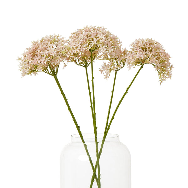 Pink Crown Hydrangea Stem - Canwell Interiors Limited - Hills