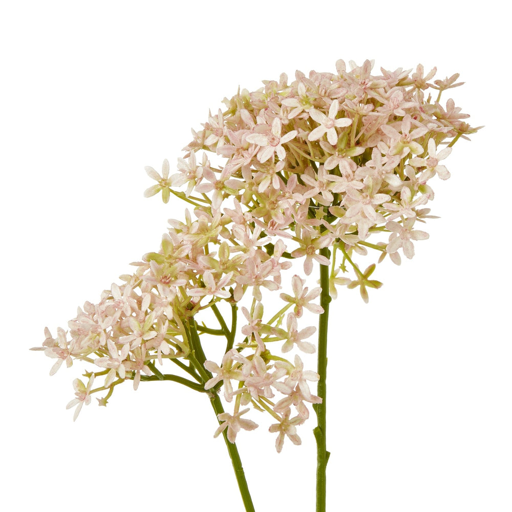 Pink Crown Hydrangea Stem - Canwell Interiors Limited - Hills