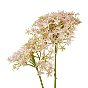 Pink Crown Hydrangea Stem - Canwell Interiors Limited - Hills