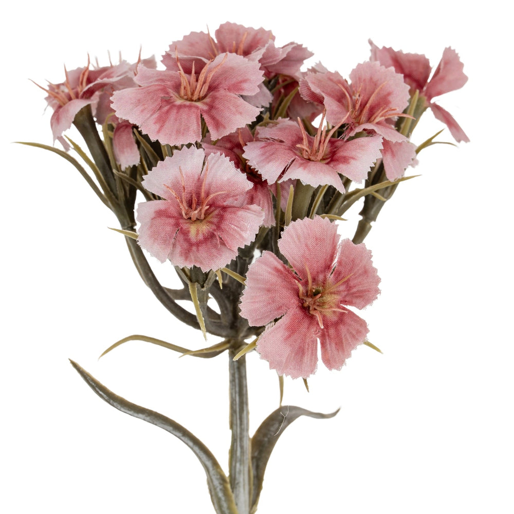 Pink Dianthus Spray - Canwell Interiors Limited - Hills