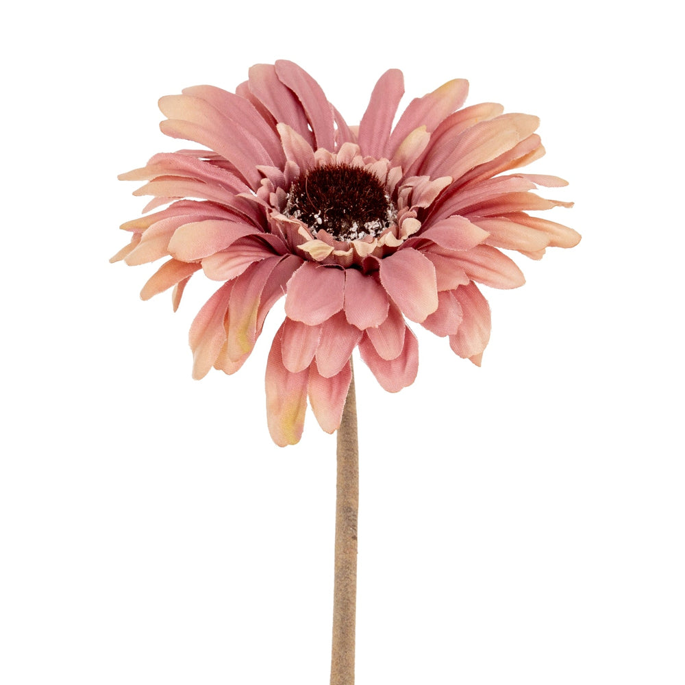 Pink Gerbera Stem - Canwell Interiors Limited - Hills