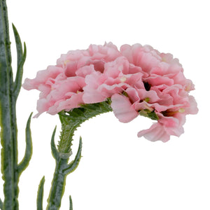 Pink Statis Spray - Canwell Interiors Limited - Hills