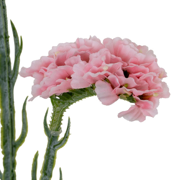 Pink Statis Spray - Canwell Interiors Limited - Hills