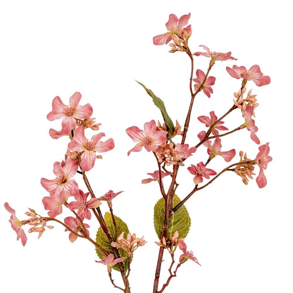 Pink Vernicia Fordii Spray - Canwell Interiors Limited - Hills