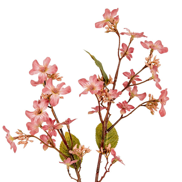 Pink Vernicia Fordii Spray - Canwell Interiors Limited - Hills