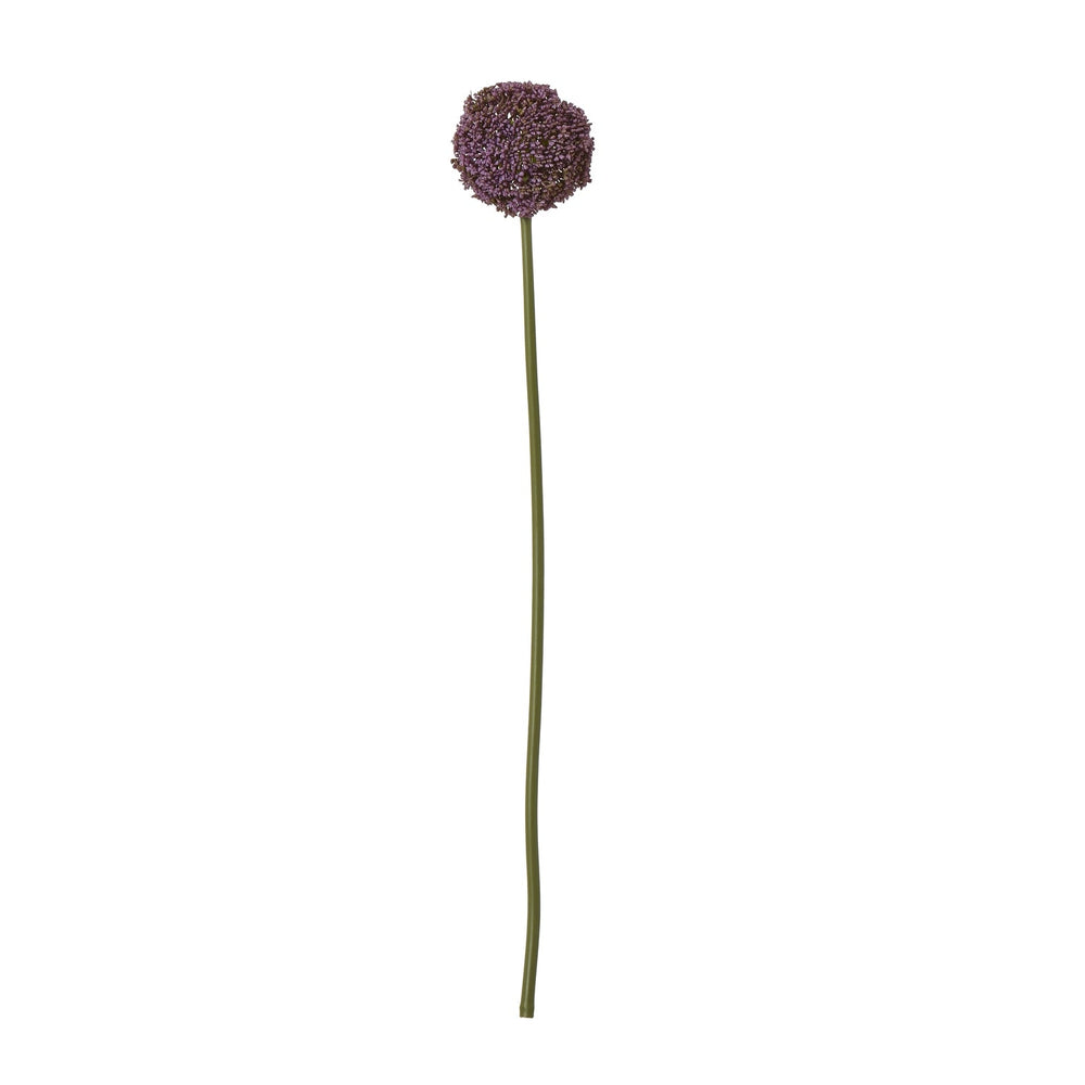 Purple Allium Stem - Canwell Interiors Limited - Hills