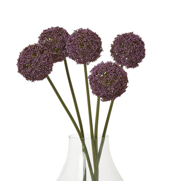 Purple Allium Stem - Canwell Interiors Limited - Hills