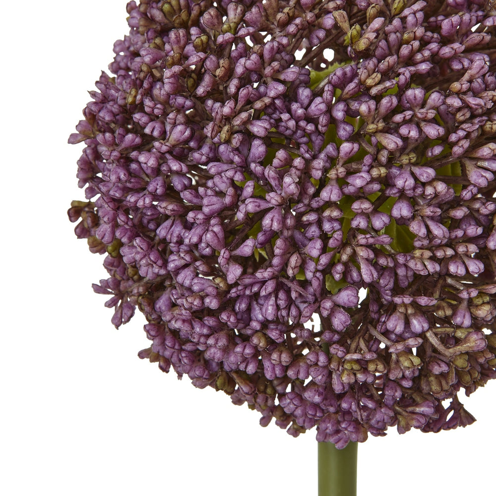 Purple Allium Stem - Canwell Interiors Limited - Hills