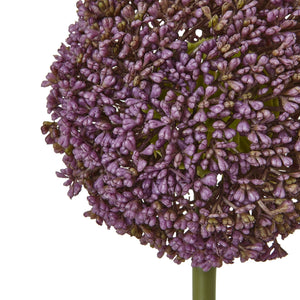 Purple Allium Stem - Canwell Interiors Limited - Hills
